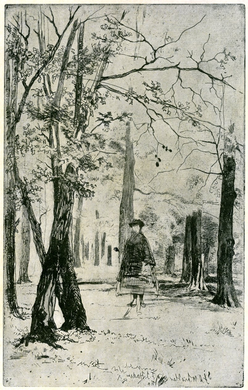 The Wood, 19. század 1904. alkotó: James Abbott McNeill Whistler
