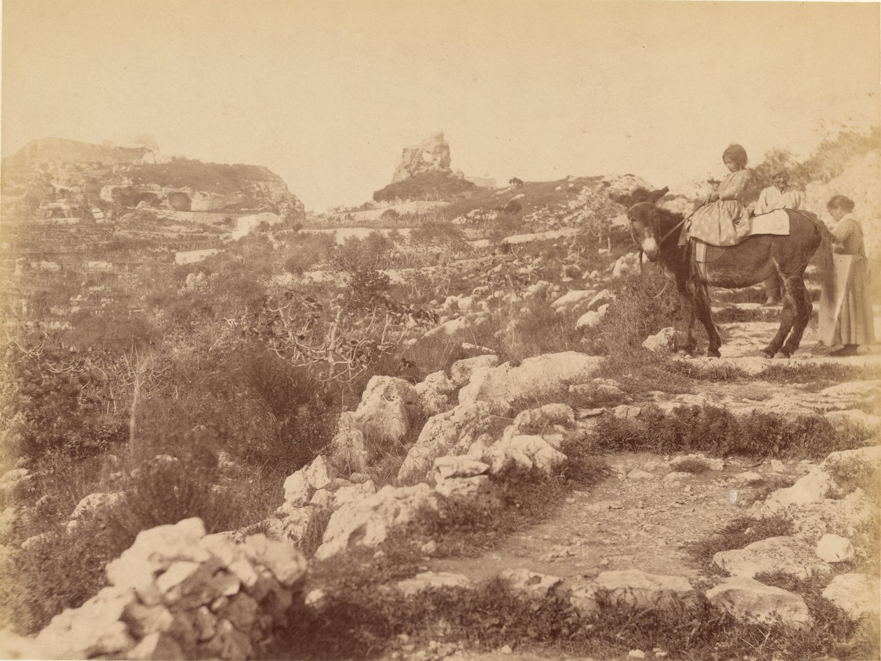 Capri [gyermek az öszvéren] alkotó: James Anderson