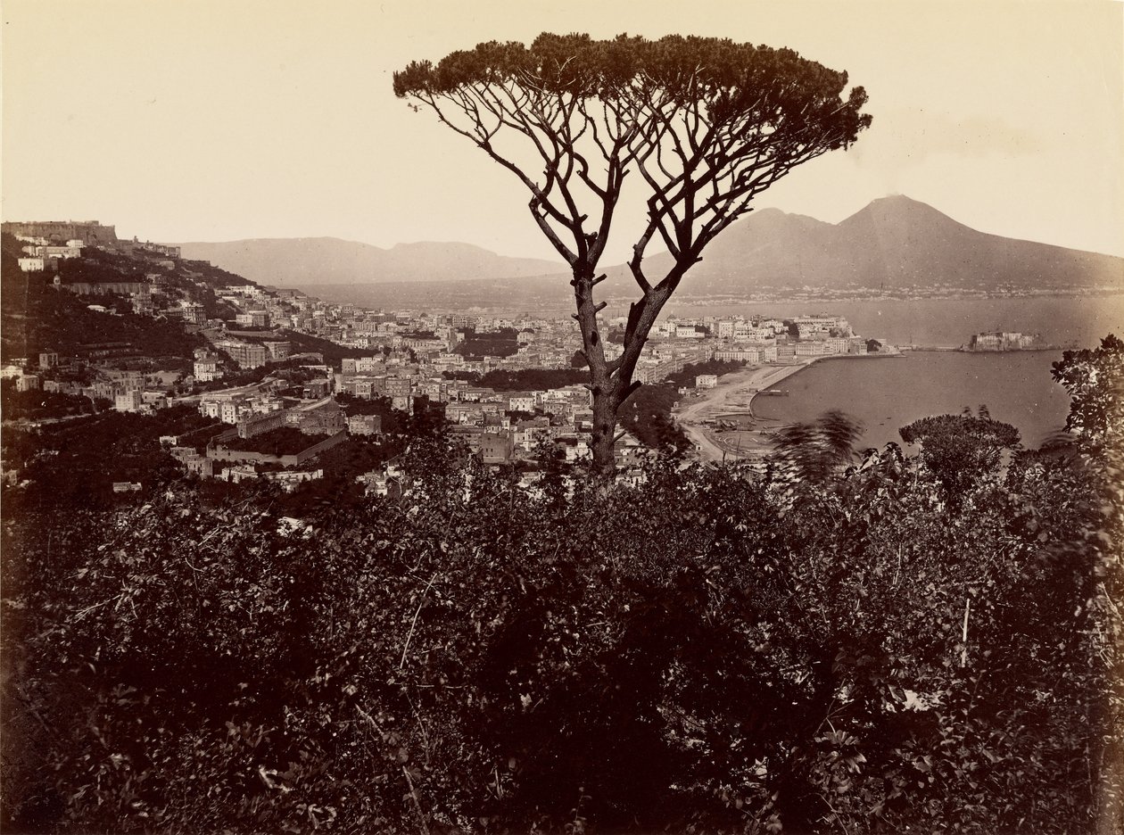 Nápolyi panoráma alkotó: James Anderson