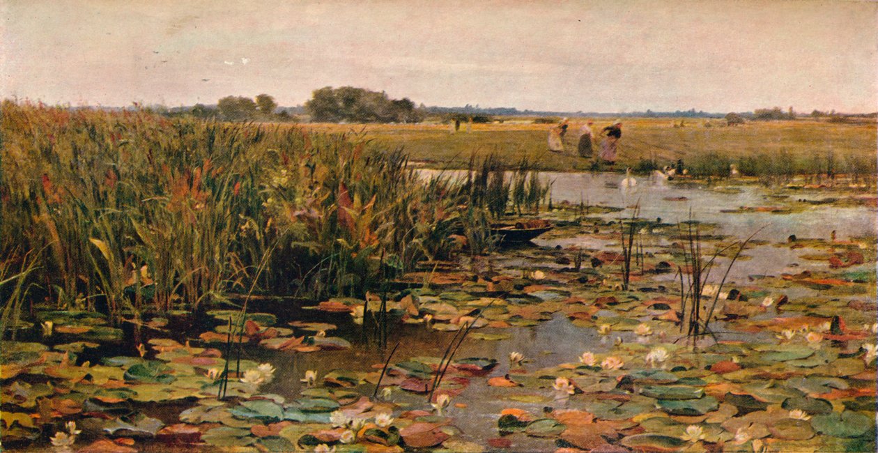 Tavirózsa, 1870 alkotó: James Aumonier