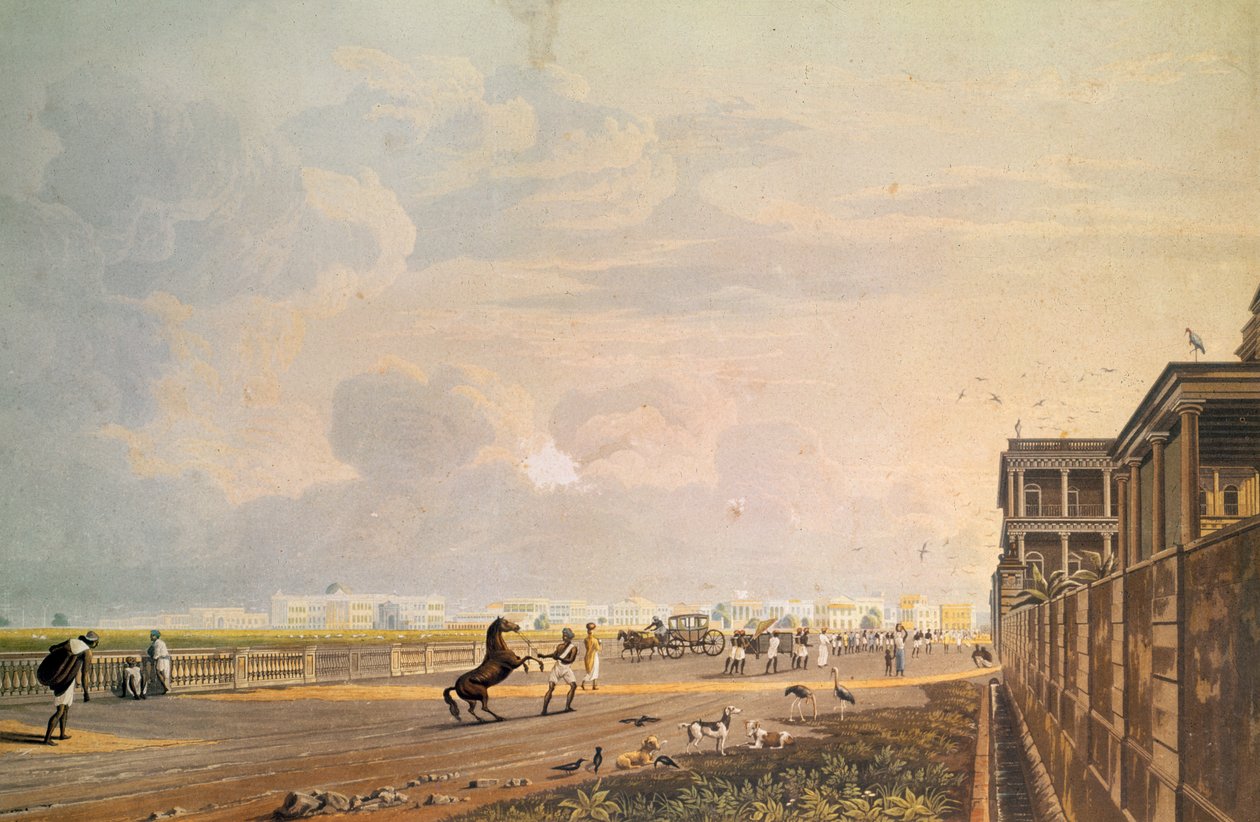 Kilátás az Esplanade Row-ra a Chouringhee Roadról, Calcutta, metszett Robert Havell, pub. 1824 alkotó: James Baillie Fraser
