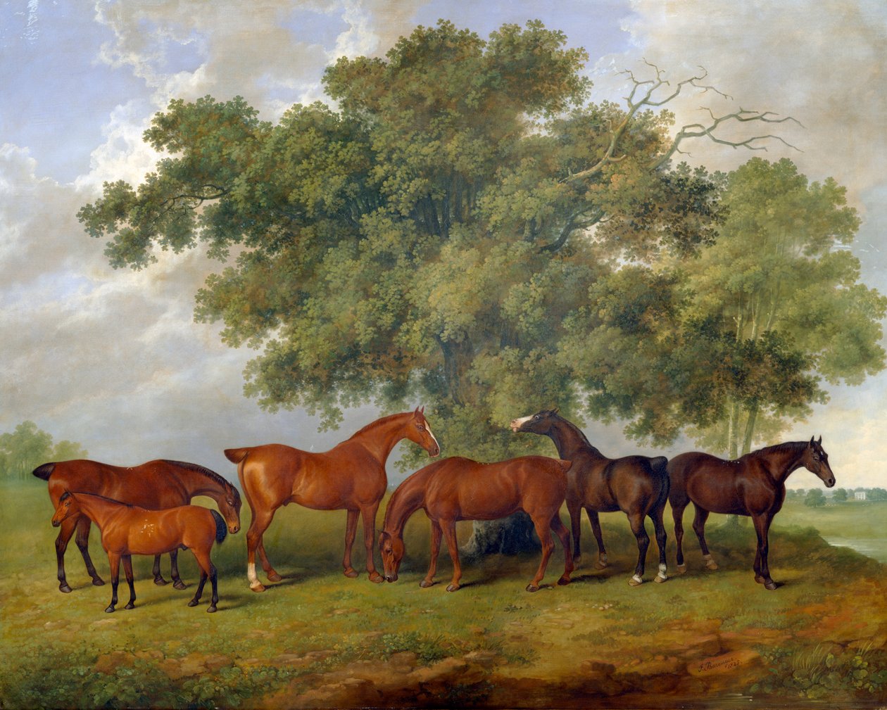 A Theobald Stud alkotó: James Barenger