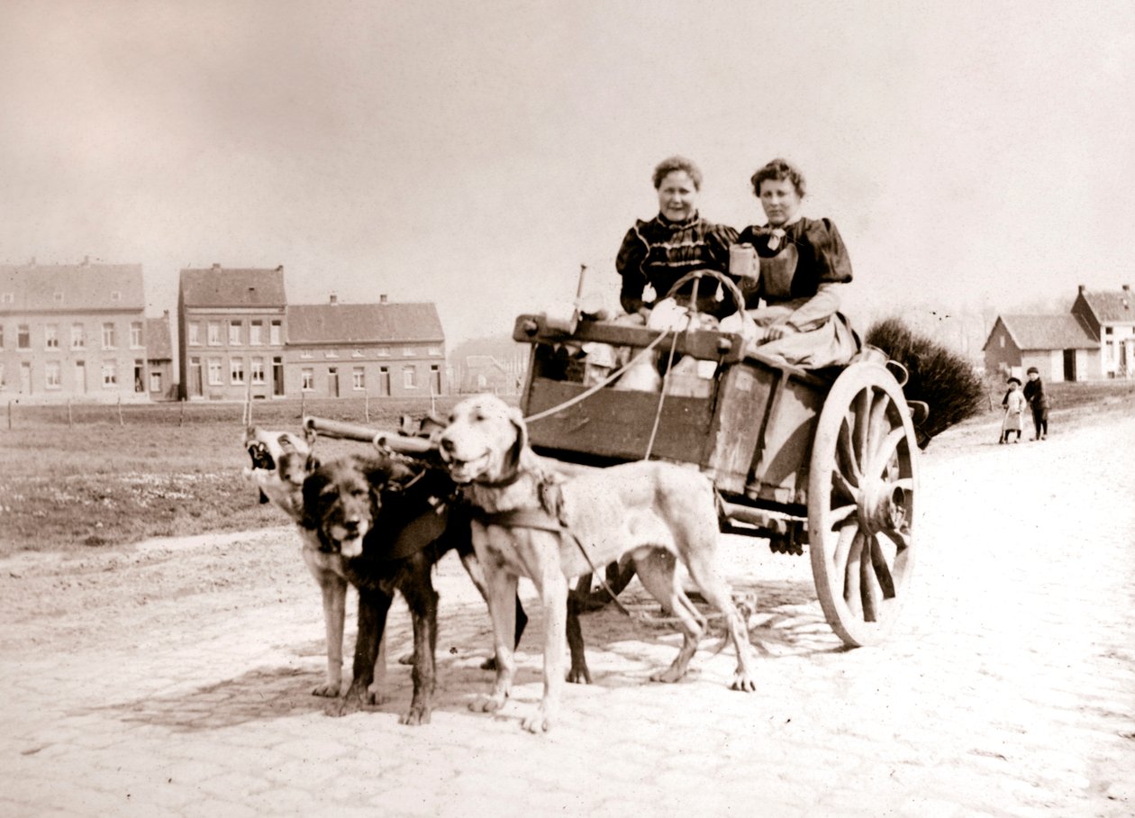 Kutyák húzzák a nőket a szekéren, Antwerpen, 1898. alkotó: James Batkin