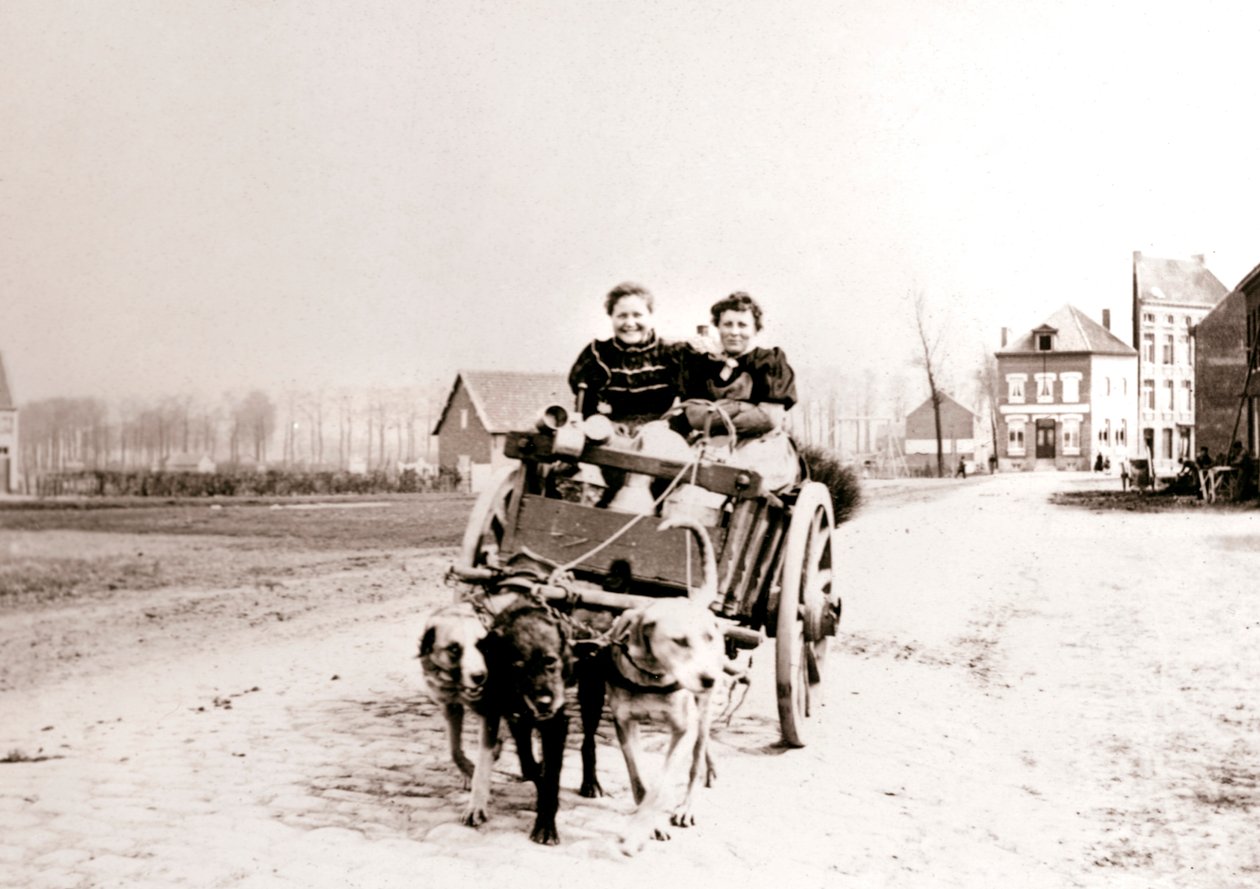 Kutyák húzzák a nőket a szekéren, Antwerpen, 1898. alkotó: James Batkin
