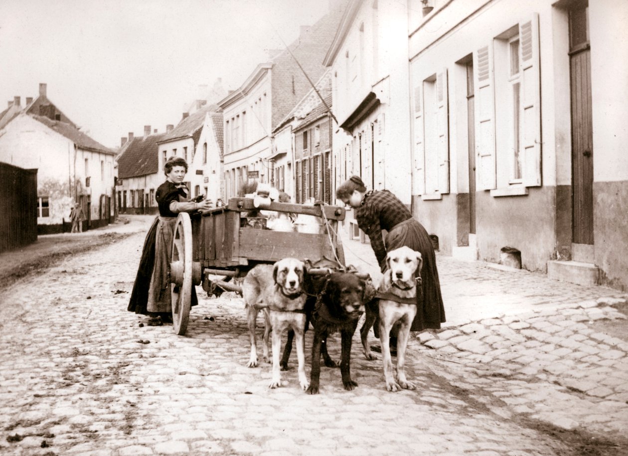 Nők és kutyakocsi, Antwerpen, 1898 alkotó: James Batkin