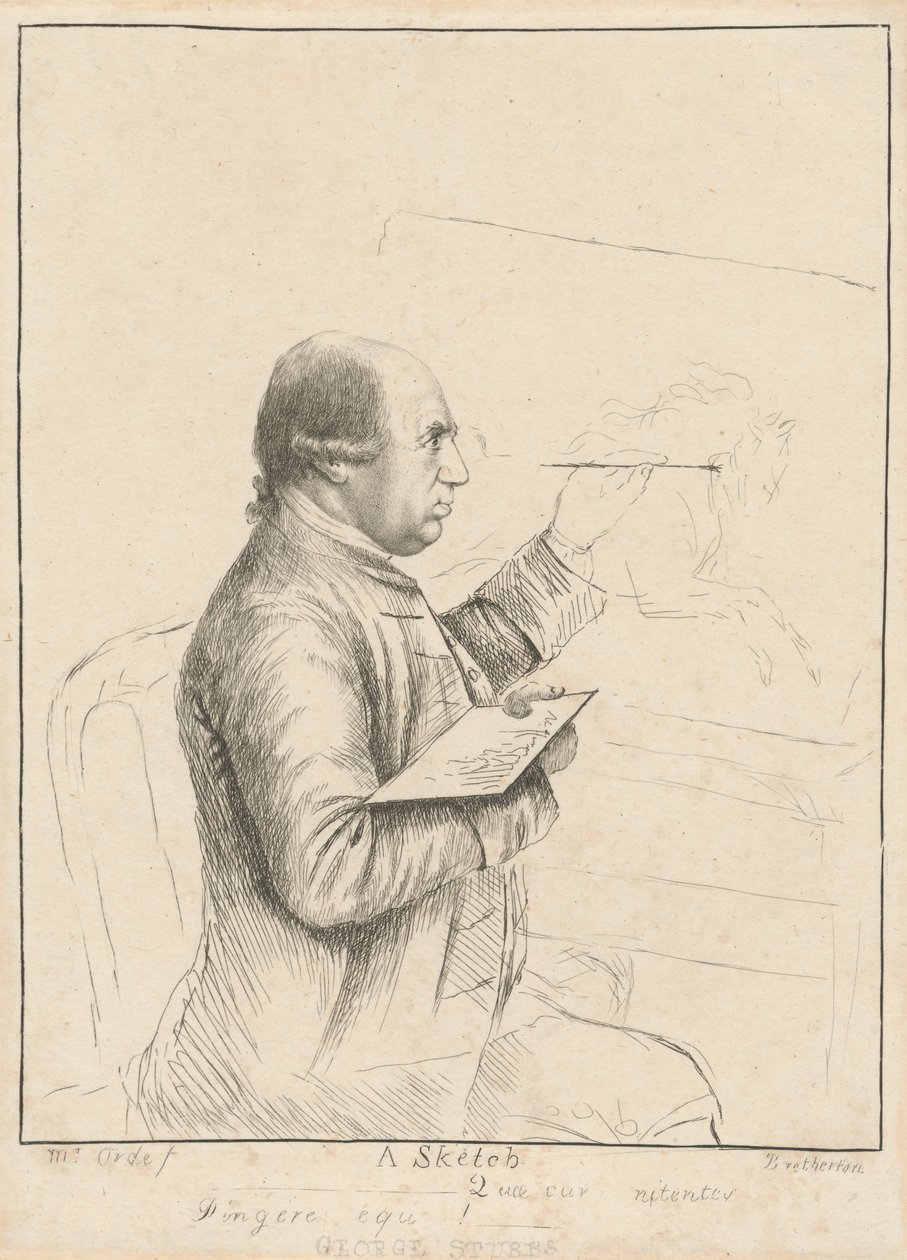 George Stubbs: Egy vázlat alkotó: James Bretherton