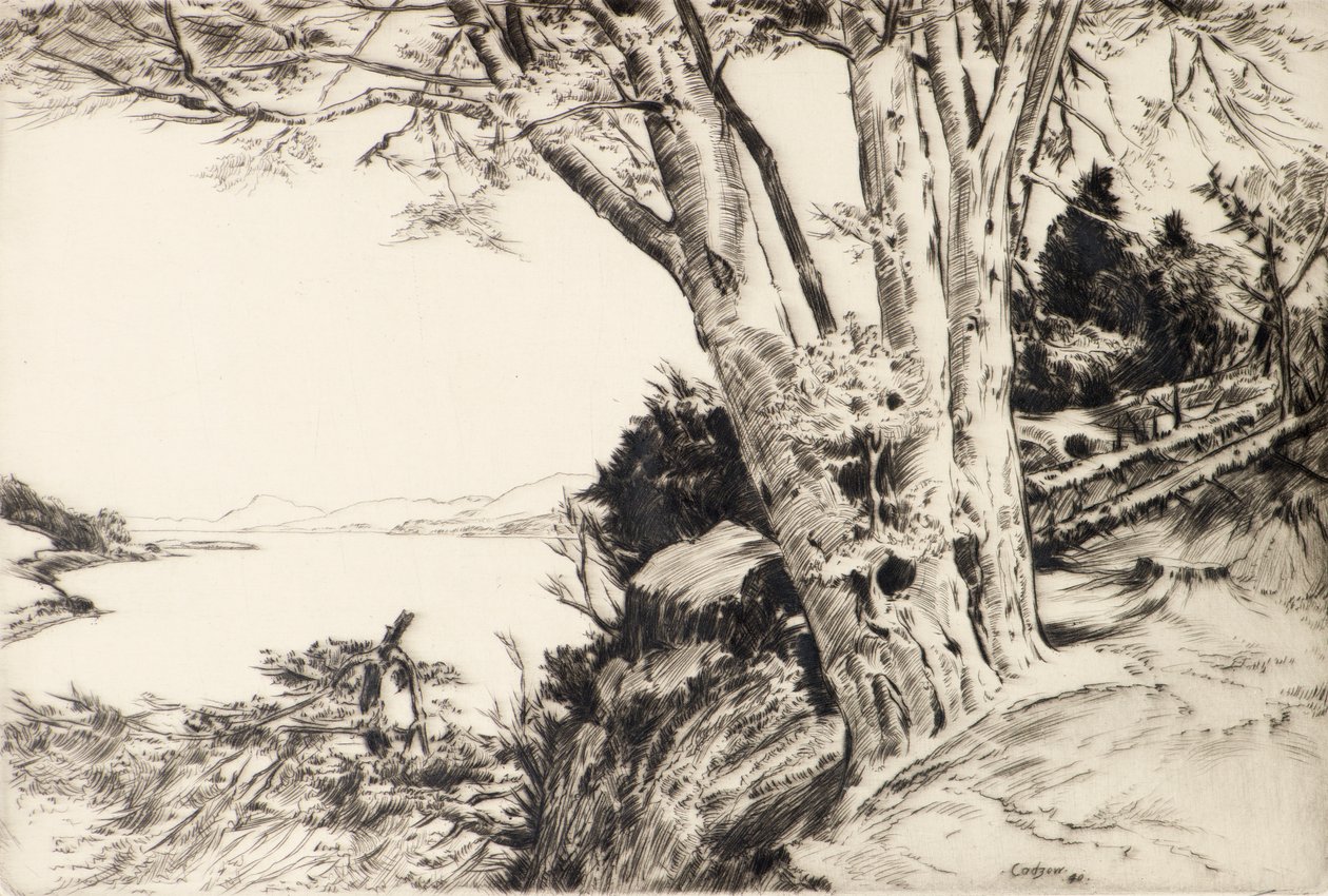 A bükkfa alkotó: James Cadzow