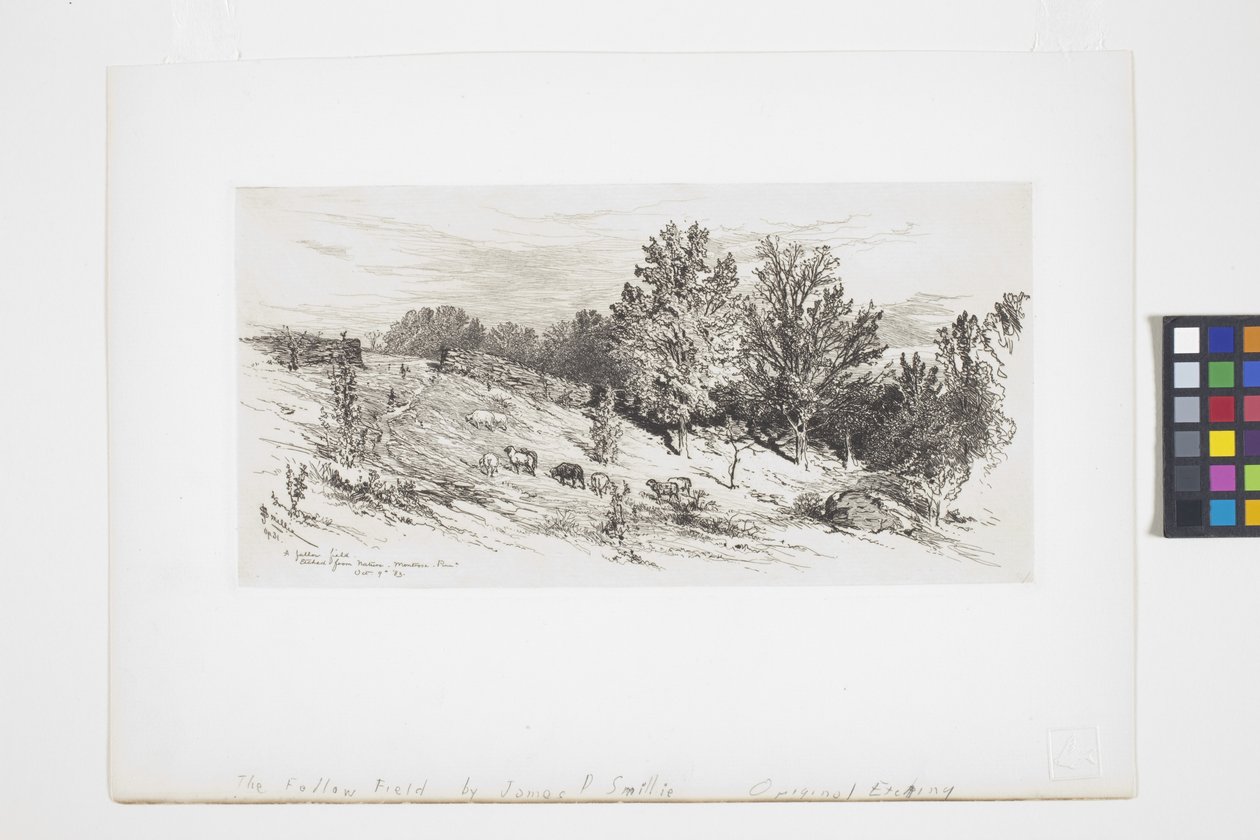 Egy parlagi mező (tinta) alkotó: James David Smillie