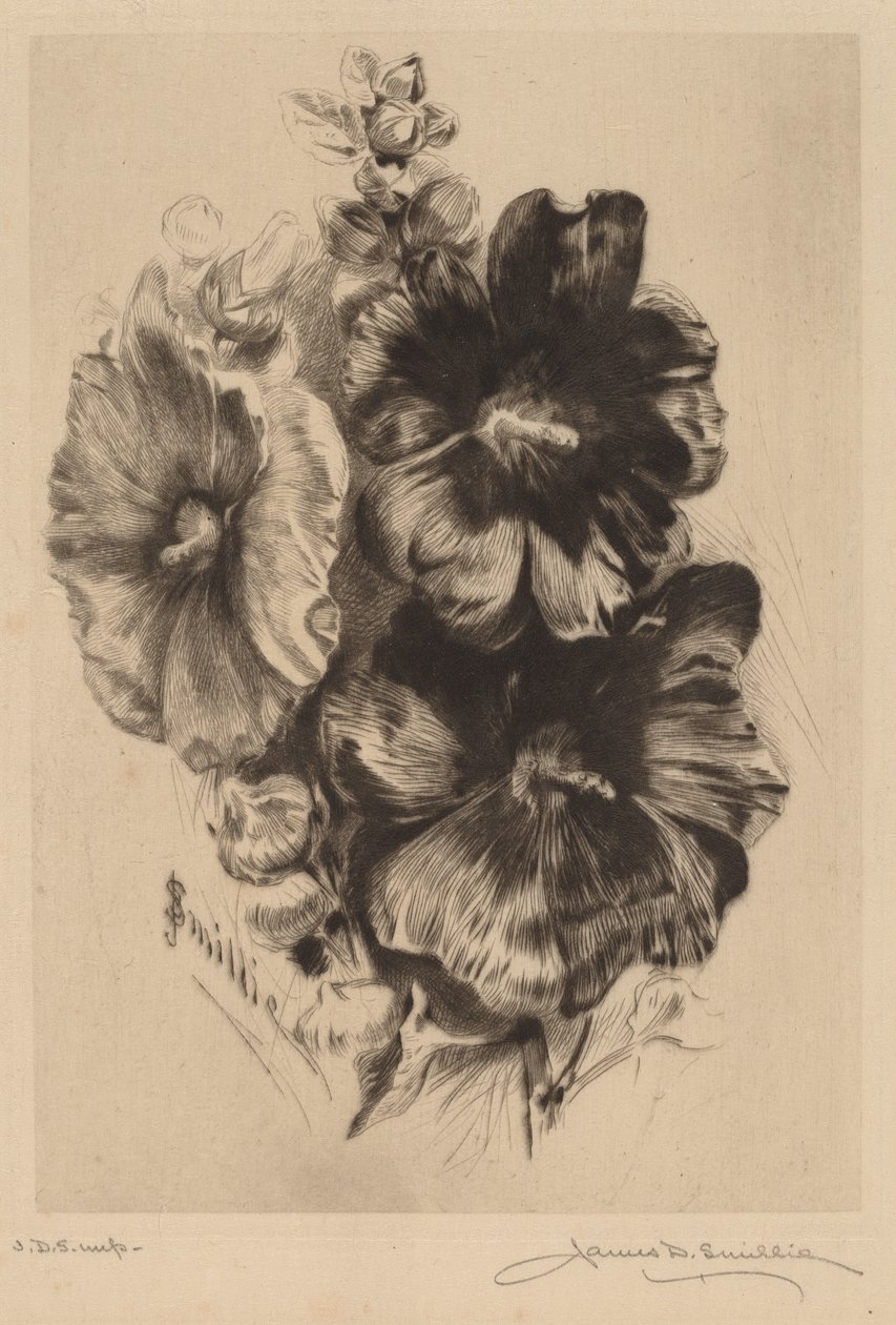 Dark Single Hollyhocks alkotó: James David Smillie