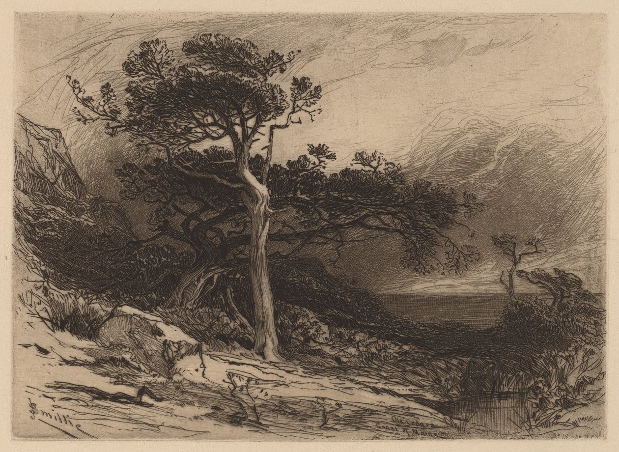 Old Cedars, Maine partja alkotó: James David Smillie