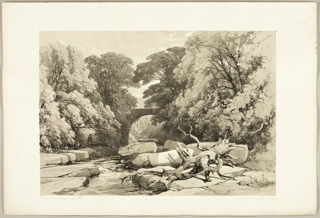 Hamu és éger a Grétán, a Park és az erdőből alkotó: James Duffield Harding