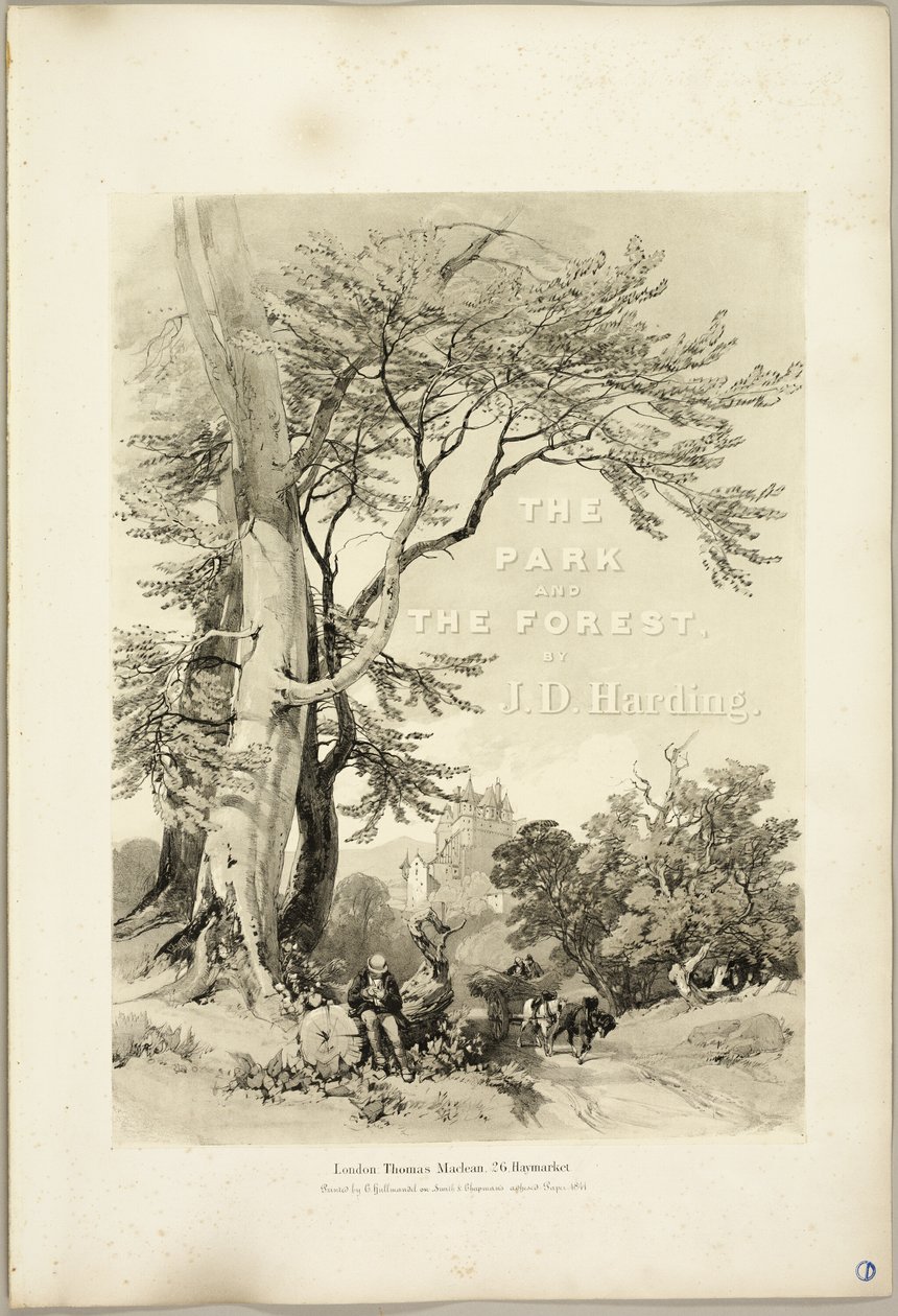 Bükk és tölgy (Frontispiece), a Park és az erdőből alkotó: James Duffield Harding