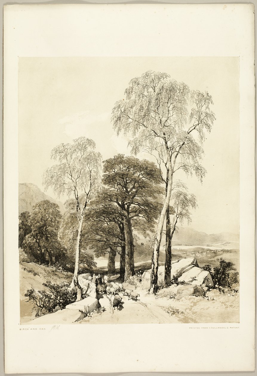 Nyír és tölgy, a Park és az erdőből alkotó: James Duffield Harding