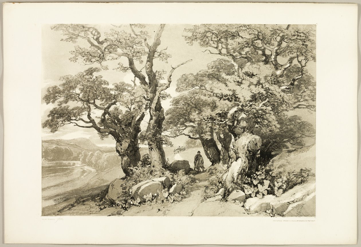 Old Oaks, a Park és az erdőből alkotó: James Duffield Harding