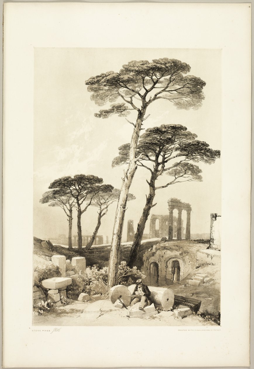 Stone Pines, a Park és az erdőből alkotó: James Duffield Harding