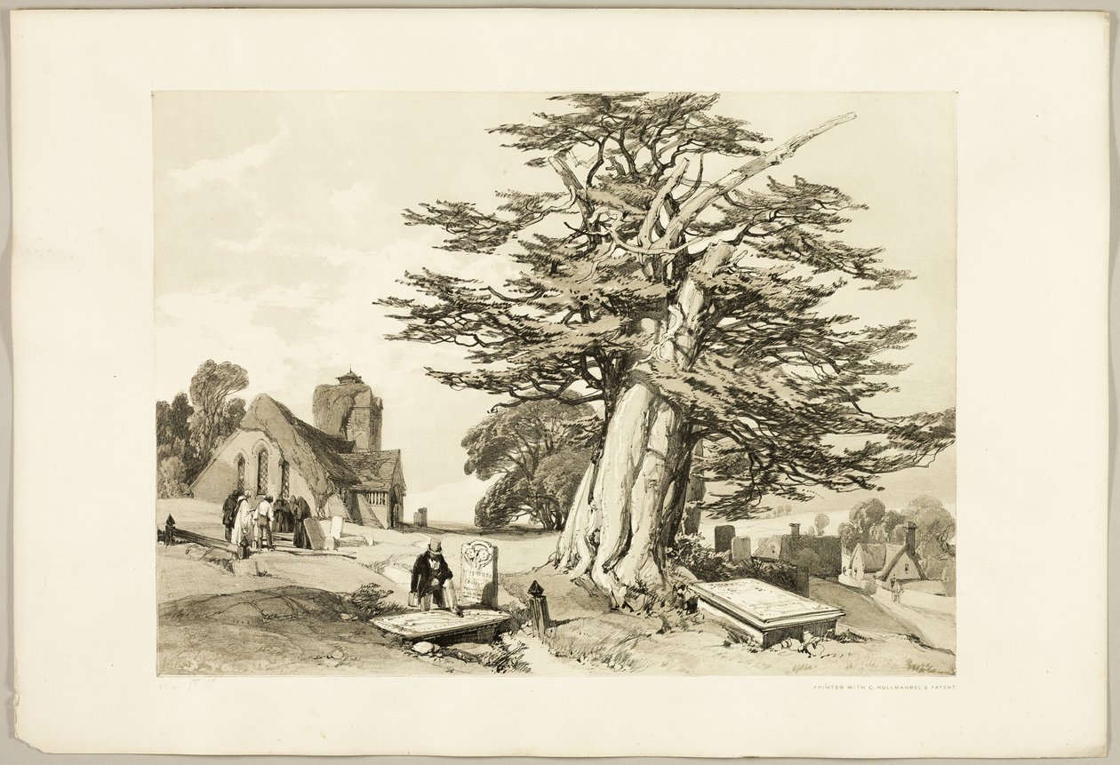 Yew, a Park és az erdőből alkotó: James Duffield Harding