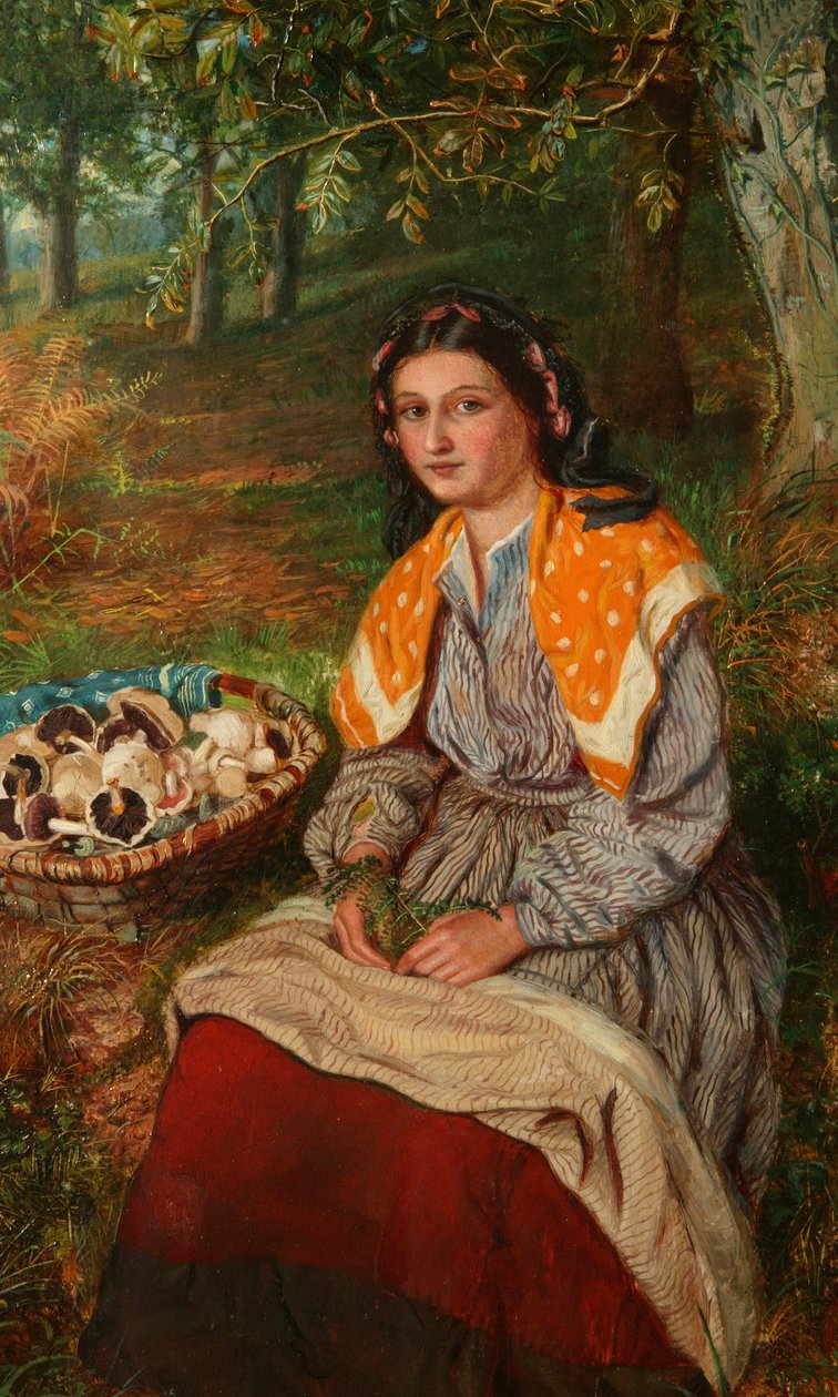 A gombagyűjtő alkotó: James Edgar
