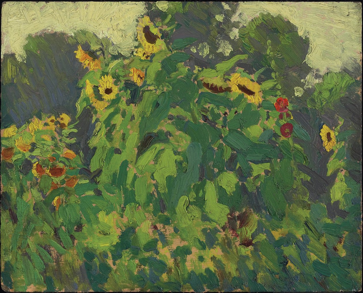Sunflowers, Thornhill, 1916 (olaj, kompozit cellulózlemezen) alkotó: James Edward Hervey Macdonald