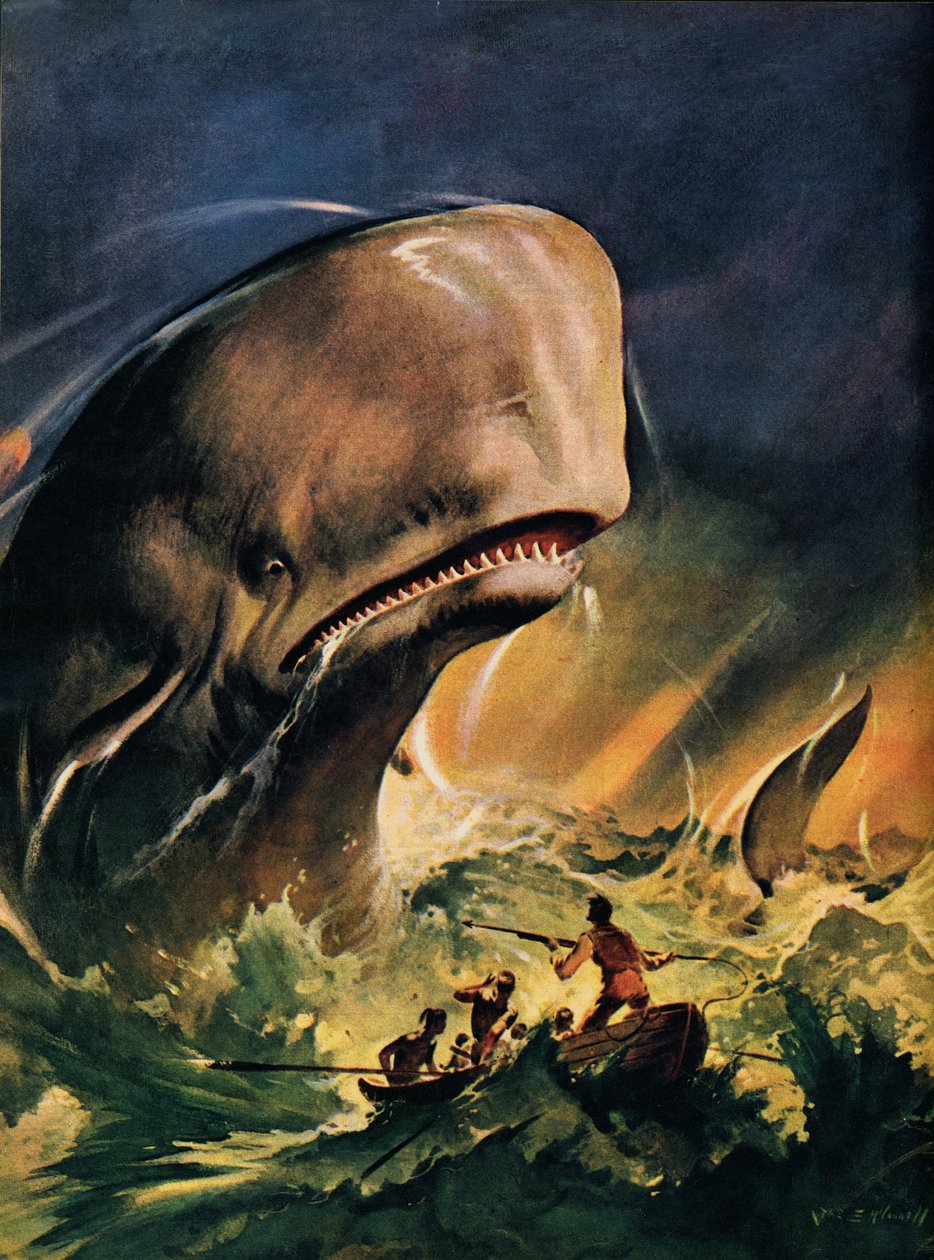 Moby Dick (színes litográfia) alkotó: James Edwin McConnell