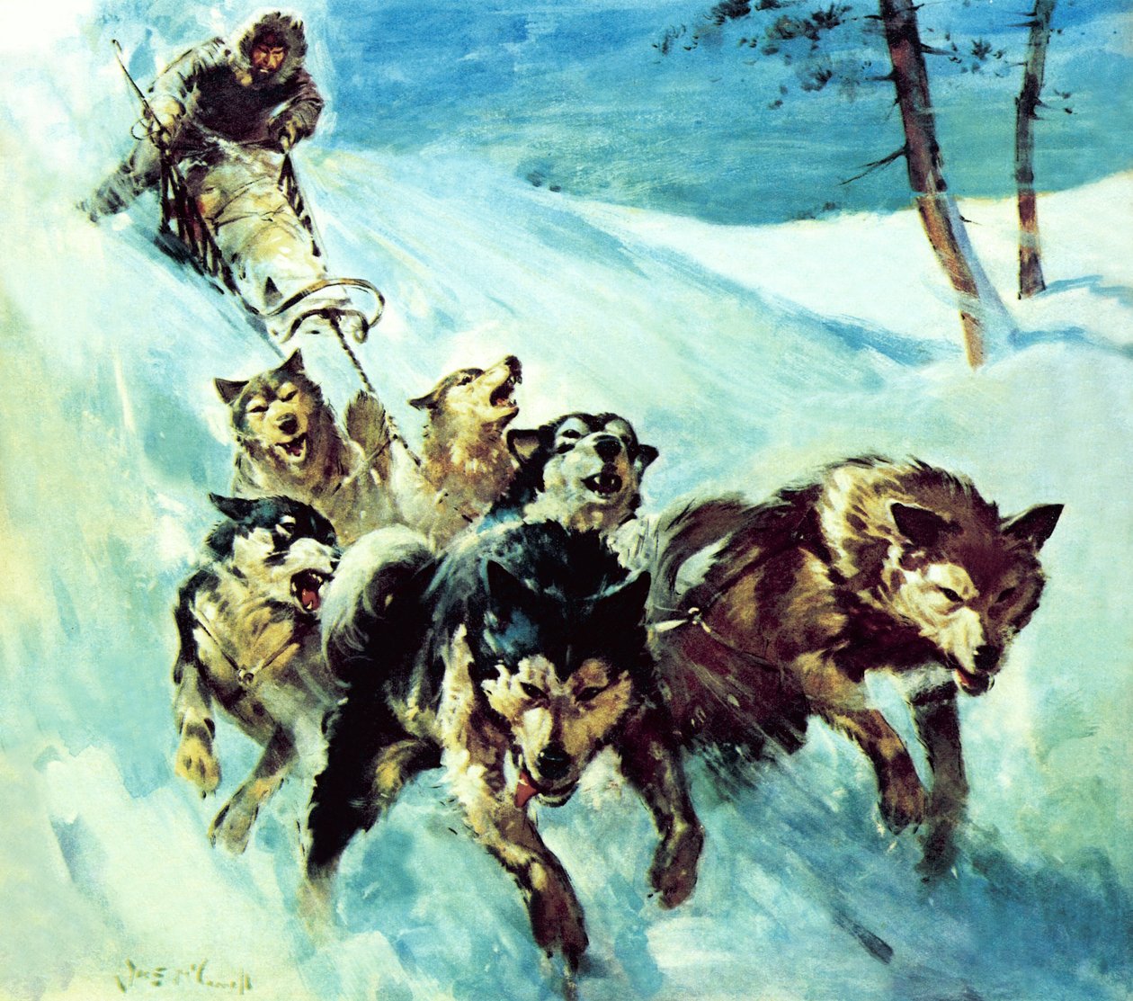 A kanadai Husky alkotó: James Edwin McConnell