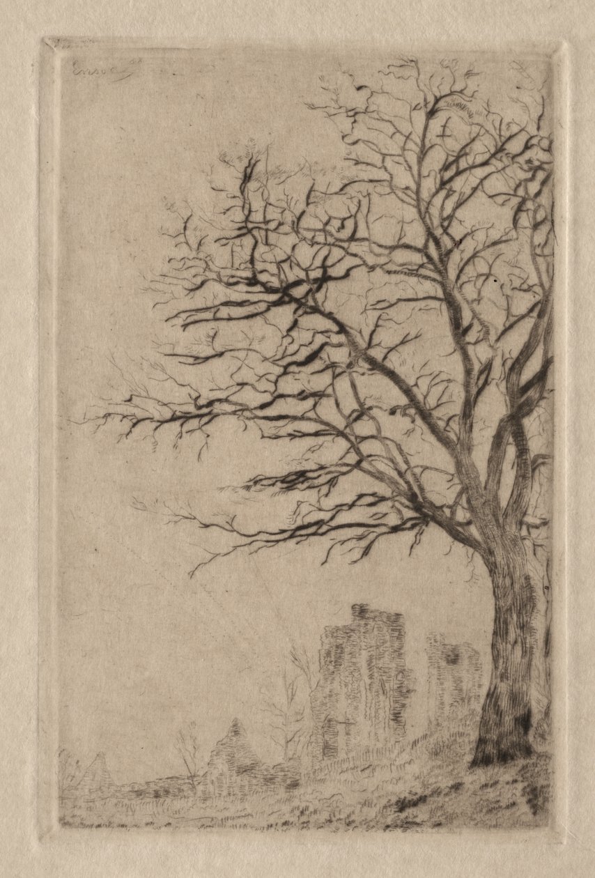 Akácia alkotó: James Ensor