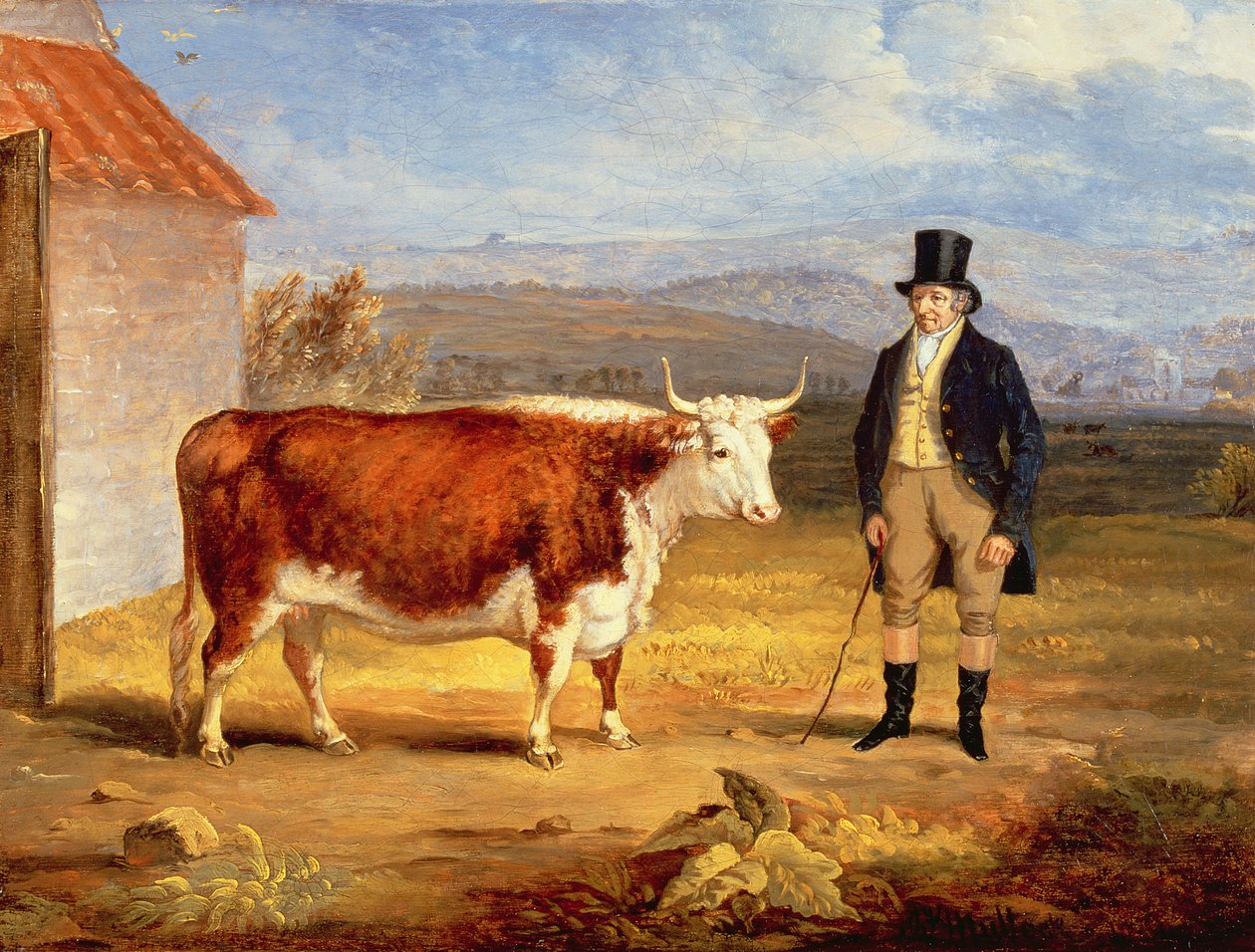 James Hodges úr és kétéves Hereford Üszője, 1843 körül alkotó: James Flewitt Mullock