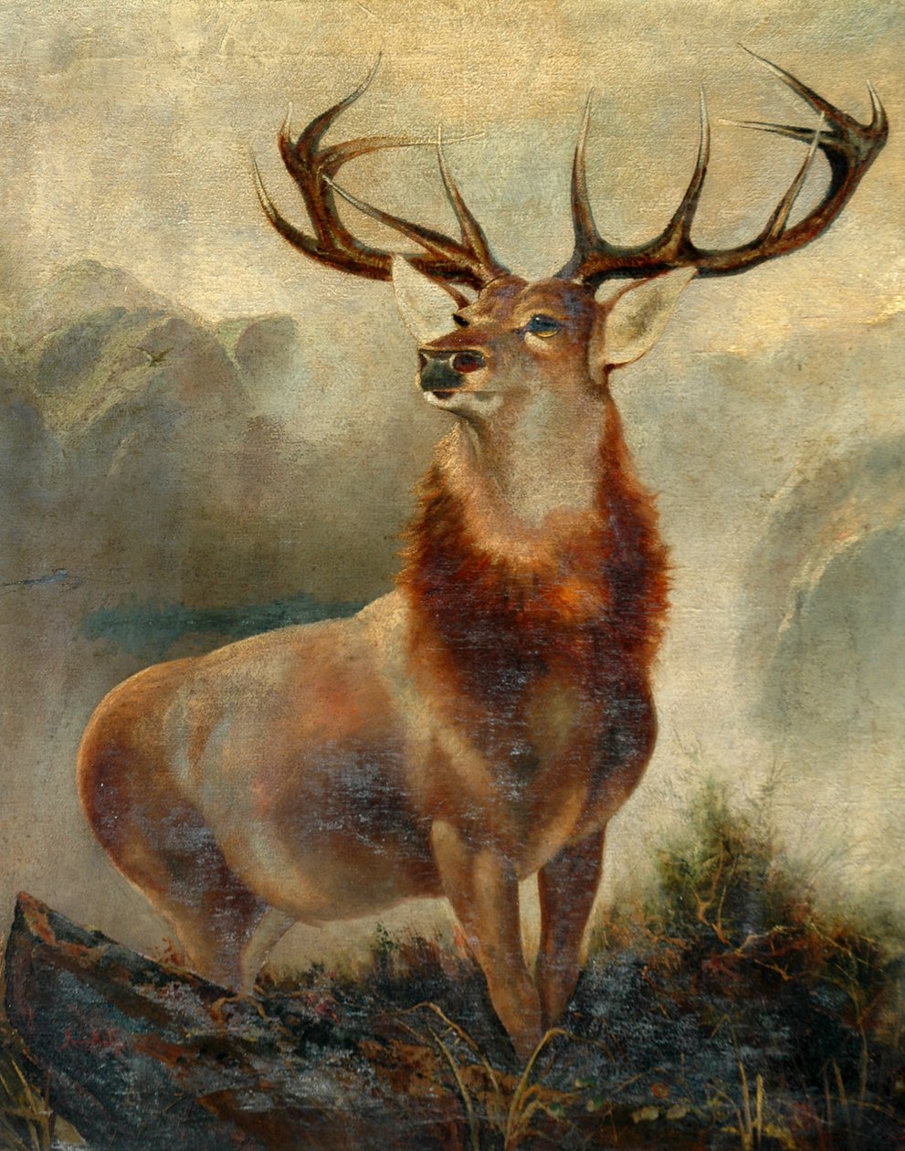 Stag At Bay alkotó: James Ford