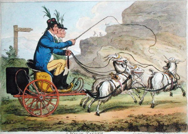 A Welch Tandem, Hannah Humphrey adta ki 1803-ban (kézzel színezett rézkarc) alkotó: James Gillray