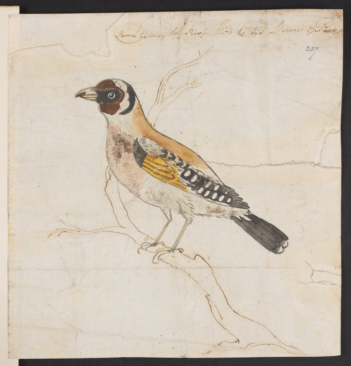 Madárfészek, c. 1757-1815 (akvarell és tus) alkotó: James Gillray