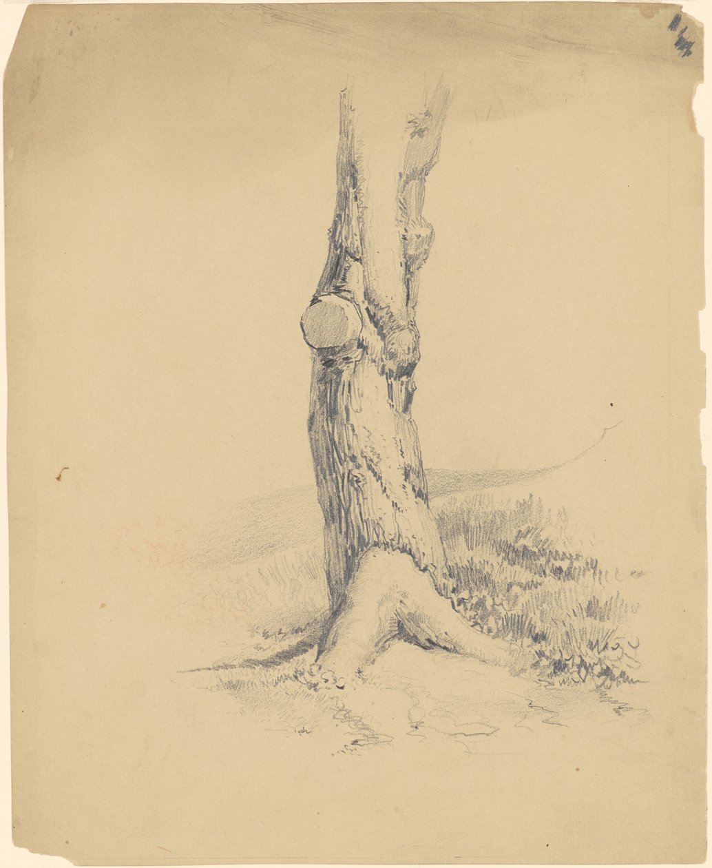 Öreg fa törzse alkotó: James Goodwyn Clonney