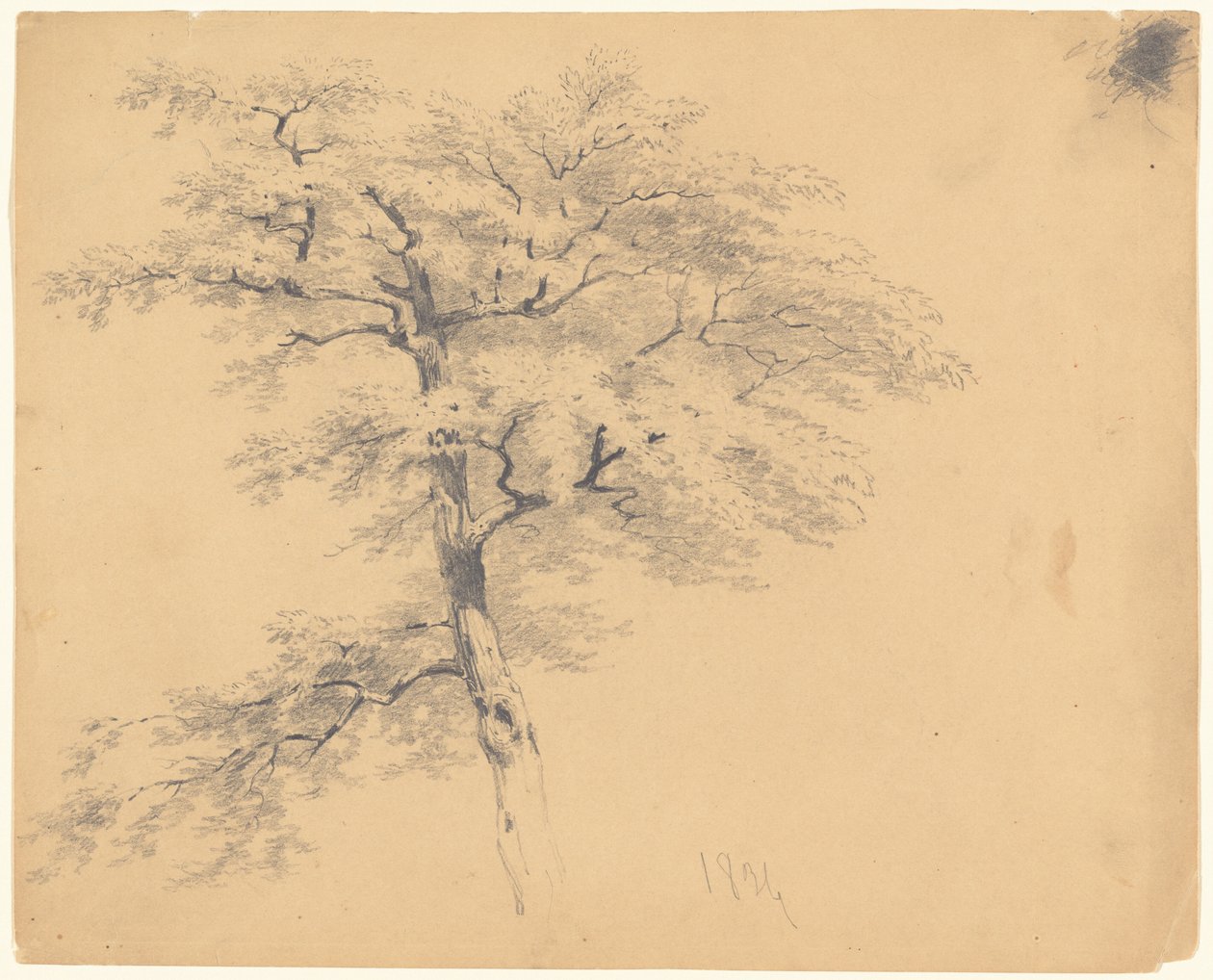 Fa alkotó: James Goodwyn Clonney