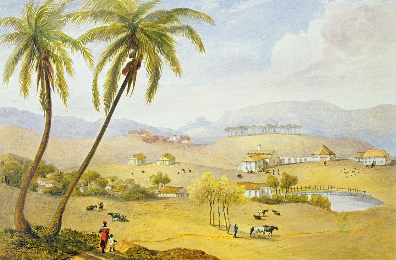 Haughton Court, Hannover, Jamaica, 1820 körül alkotó: James Hakewill