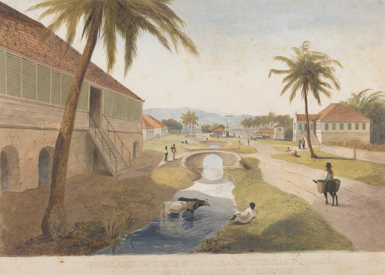 Holland Estate, St. Thomas in the East, Jamaica [az egyik ] alkotó: James Hakewill