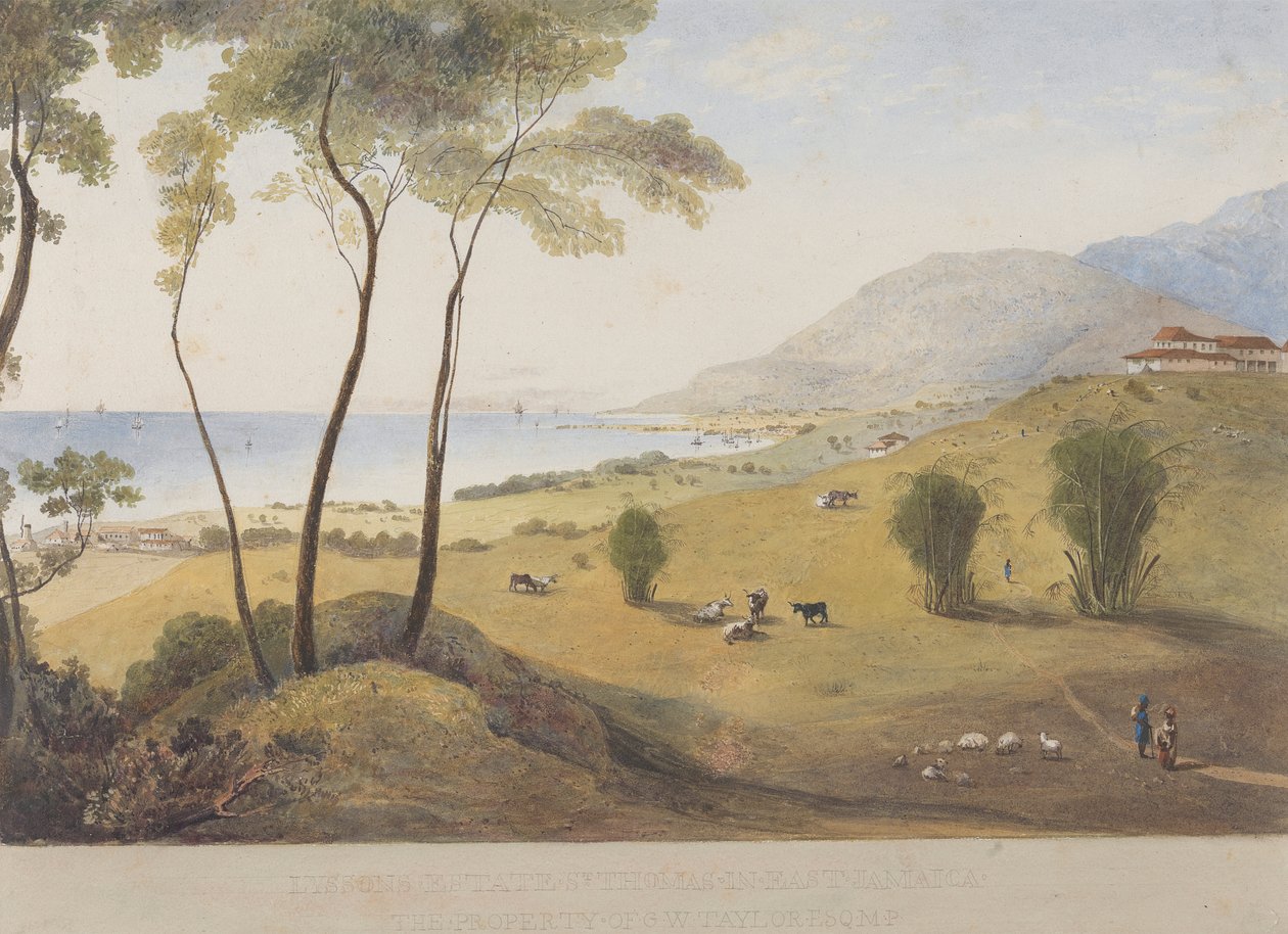 Lyssons Estate, St. Thomas in the East, Jamaica alkotó: James Hakewill