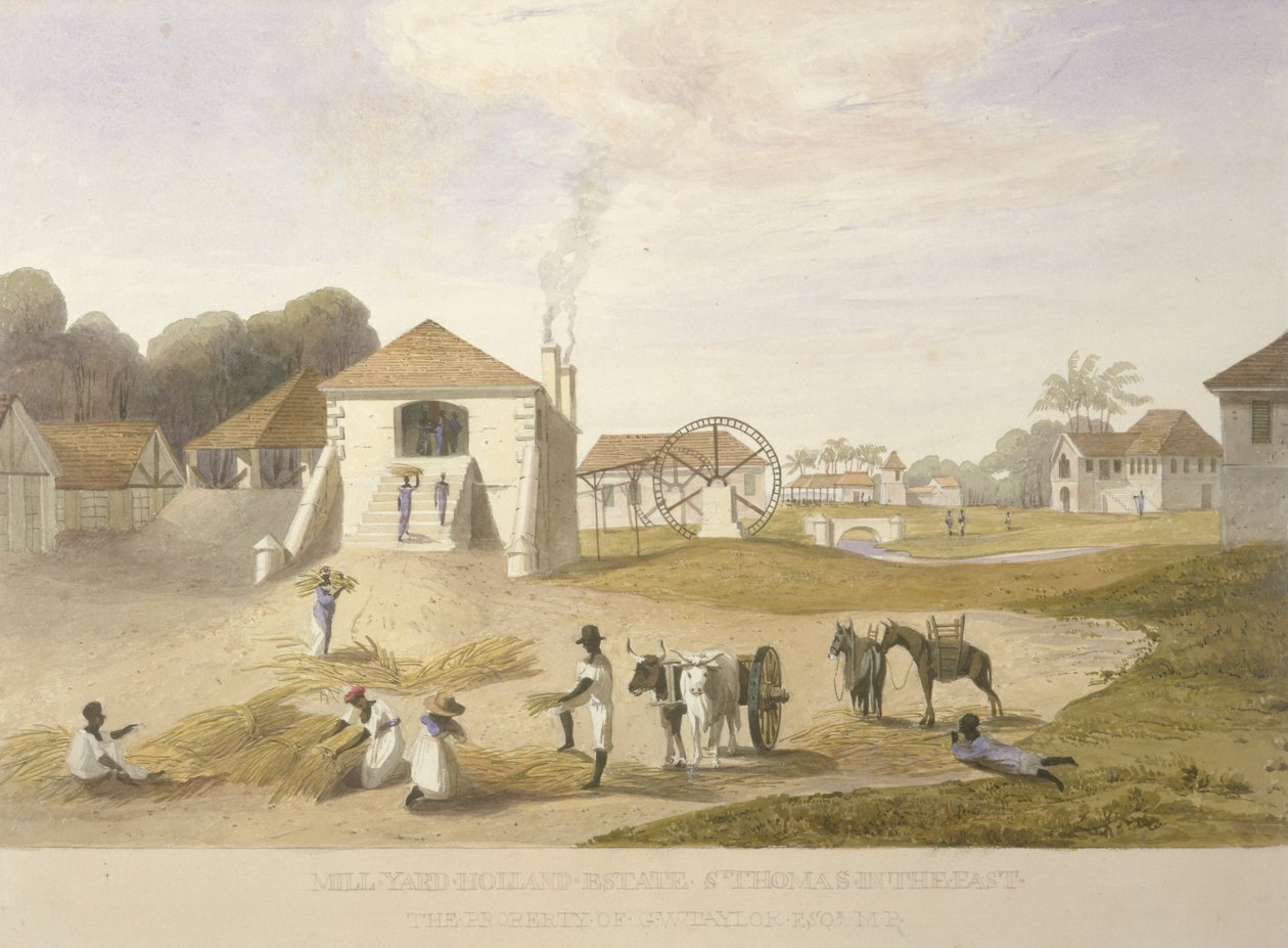 Mill Yard, Holland Estate, St. Thomas keleten alkotó: James Hakewill