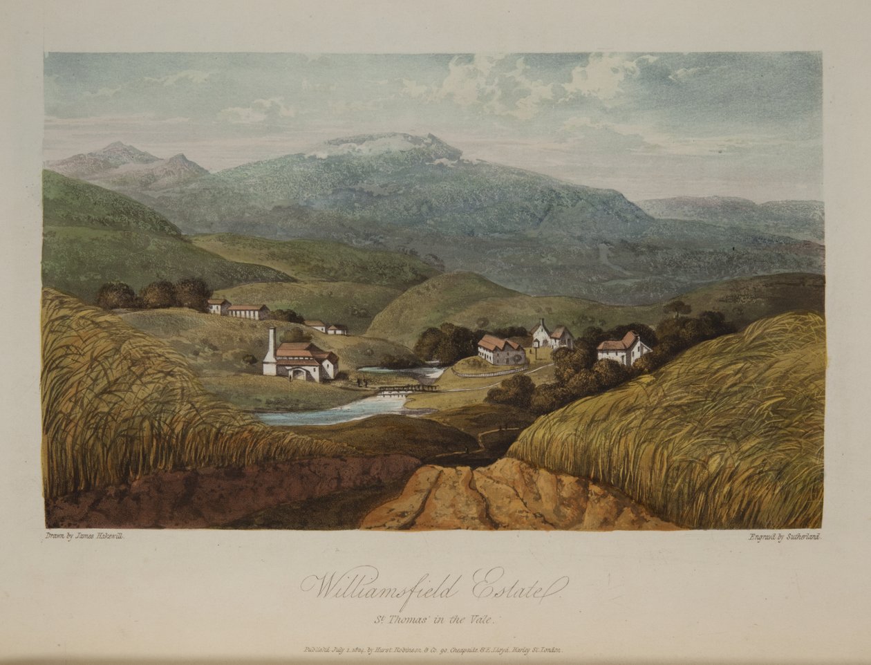 Williamsfield Estate, St. Thomas in the Vale alkotó: James Hakewill