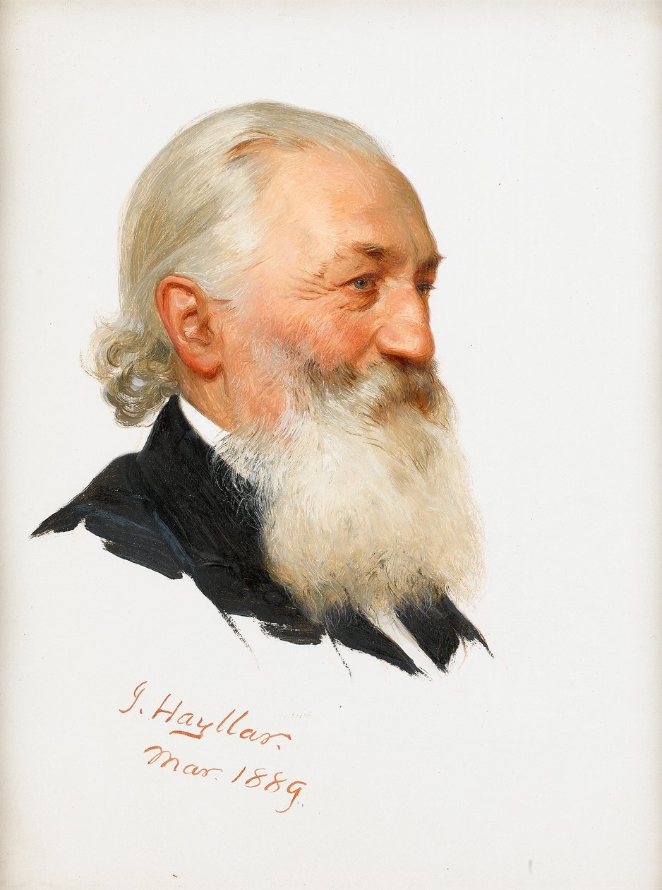 Tanulmány egy szakállas úriemberről, 1889 alkotó: James Hayllar
