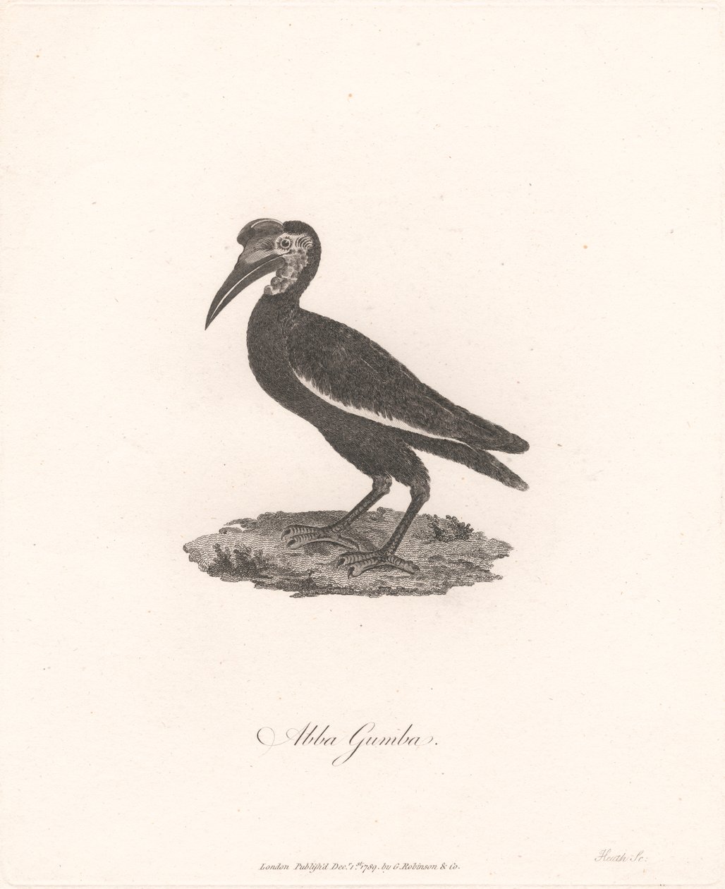 Abba Gumba alkotó: James Heath