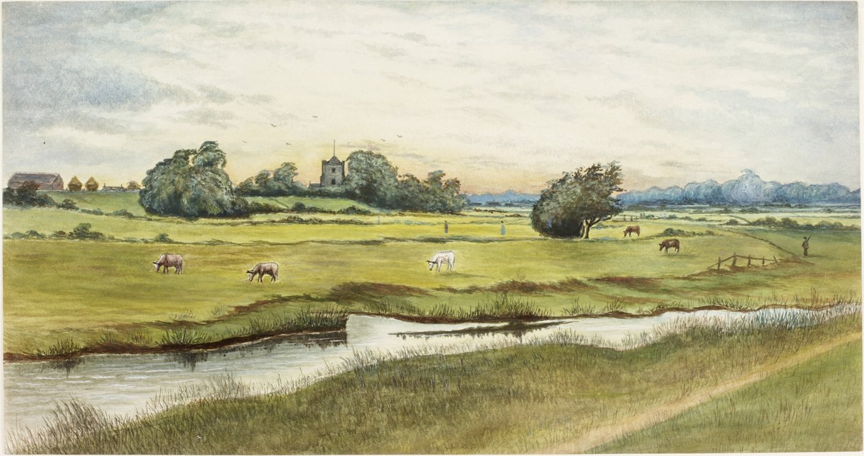 Ryton Meadows (akvarell és testfesték papíron) alkotó: James Henry Cleet