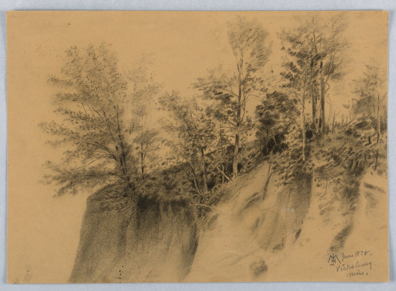 Cliff and Trees, Vicksburg, Miss. alkotó: James Henry Moser