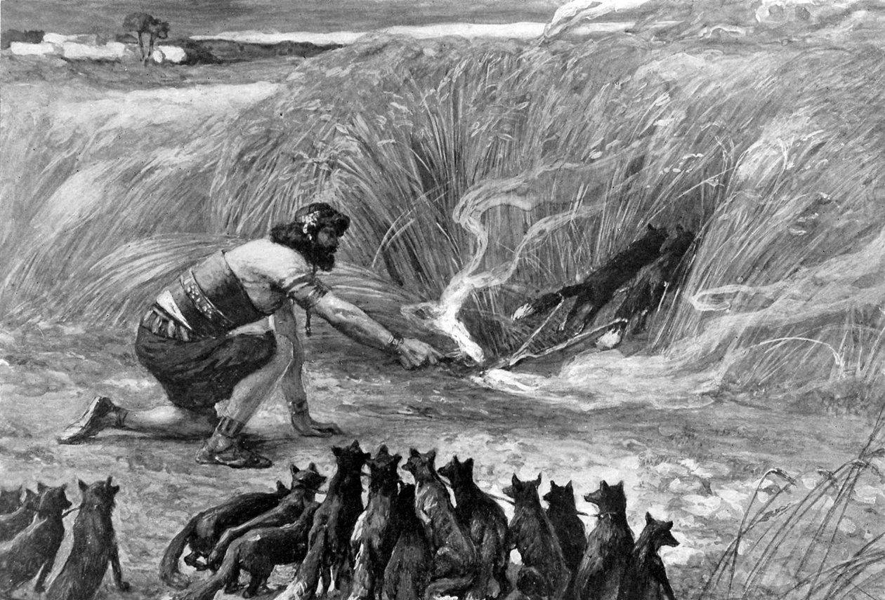 Sámson és a rókák J James Tissot - Biblia alkotó: James Jacques Joseph (after) Tissot
