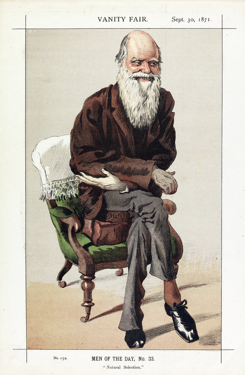 Charles Darwin, Men of the Day, No. 33, Natural Selection, a Vanity Fair, pub. 1871 alkotó: James Jacques Joseph Tissot