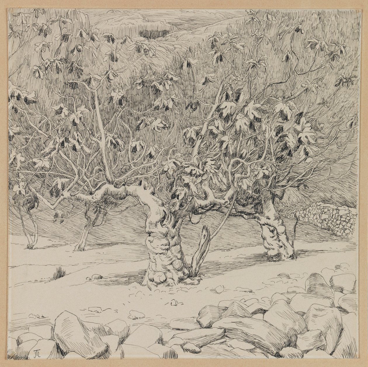 Fügefa, Hinnom völgye, illusztráció a mi Urunk Jézus Krisztus életéből (tinta papíron) alkotó: James Jacques Joseph Tissot