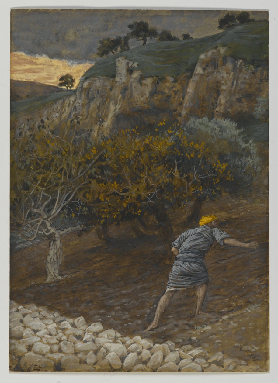 Az ellenség, aki vet, illusztráció a mi Urunk Jézus Krisztus életéből (wc grafit fölött, papíron) alkotó: James Jacques Joseph Tissot