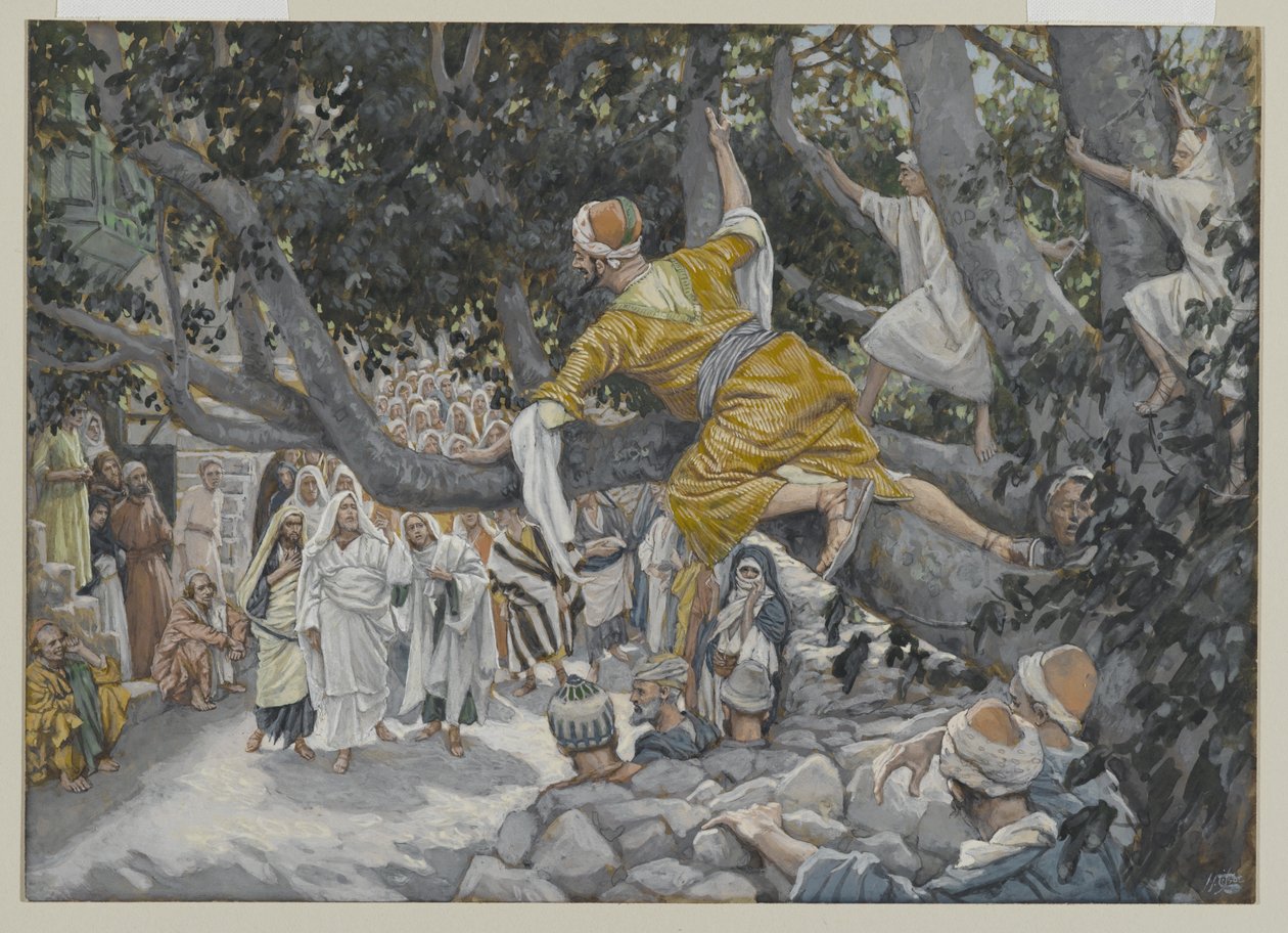 Zákeus a platánban Jézus elvonulására várva, illusztráció az Urunk Jézus Krisztus élete című könyvből, 1886-96 (wc grafit fölött, papíron) alkotó: James Jacques Joseph Tissot