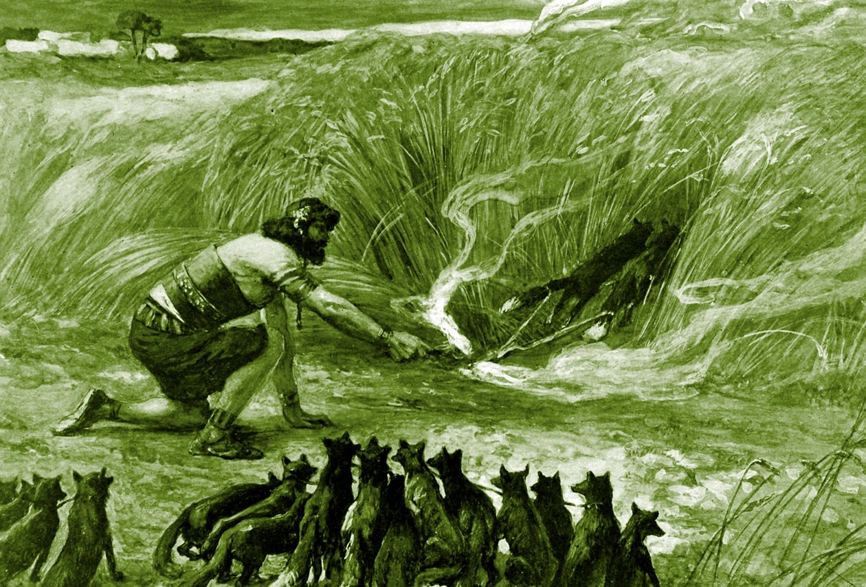 Sámson és a rókák J James Tissot - Biblia alkotó: James Jacques Joseph after Tissot