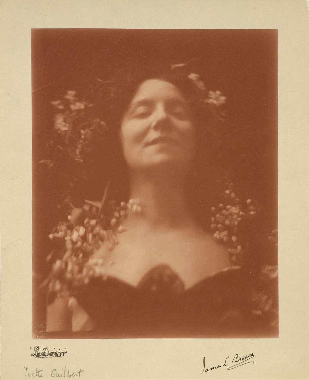 "A vágy": Yvette Guilbert portréja, 1896 alkotó: James L. Breese