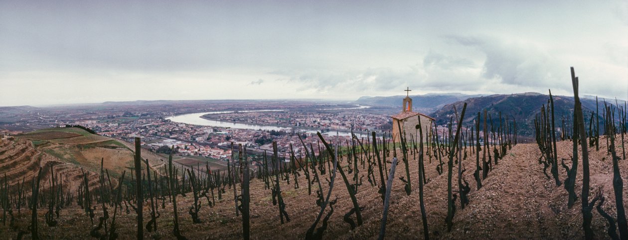 A szőlőskert a városra és a Rhone folyóra néz. SOCIETE PAUL JABOULET AINE BOR... alkotó: James L Stanfield