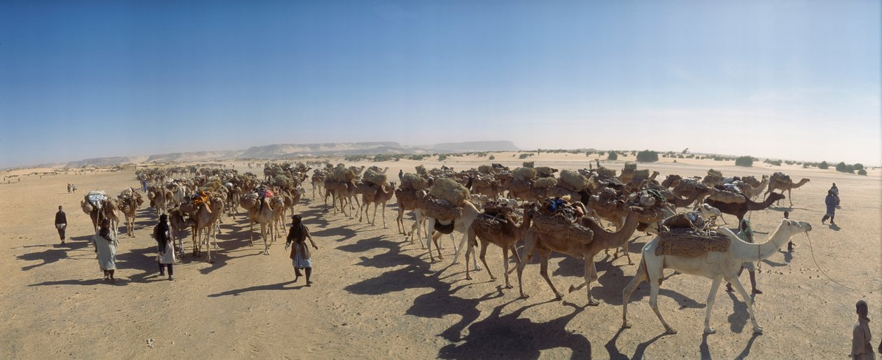 Panoráma egy sós tevekaravánról Fachi külterületén. FACHI KÖZELÉBEN, NIGER. alkotó: James L Stanfield