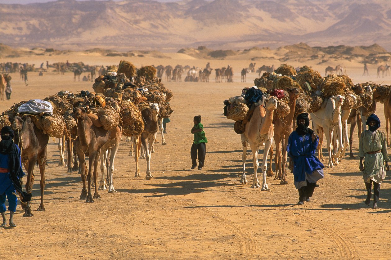 Sós tevekaraván Fachi külterületén. FACHI KÖZELÉBEN, NIGER. alkotó: James L Stanfield